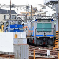 雪谷検車区付近を散歩
