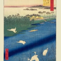 荒川放水路〜旧中川沿いを歩く①
