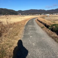 つまらない女。
