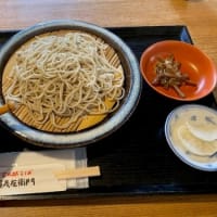 「先生」と「お蕎麦」