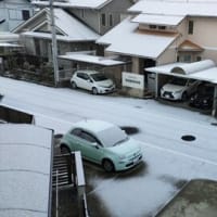雪景色