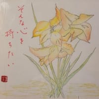 「太陽に照らされてのプール掃除」