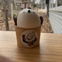 【旅記録】北国へレッツラゴー！