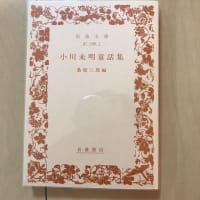 赤い蝋燭と人魚