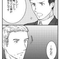 ZEROネタ詰め2（AceCombatZERO)