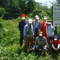 汗だくになった除草ボランティア