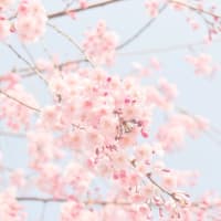 自愛を深める