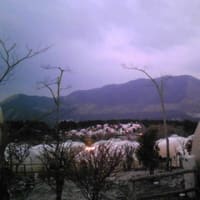 朝の景色