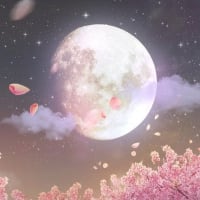 花粉がしんどい。