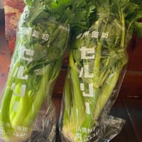 近々ブログ引越しします！