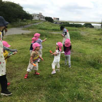 ３歳児 ひまわり組 園外保育～多摩川で水遊びを楽しもう～