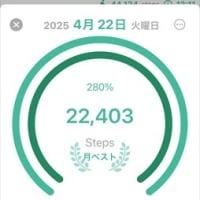 ５月定休日のおしらせ。４月いろいろ。
