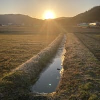 壁の下塗り🏠