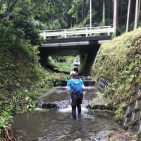 第6回FAIRY TRAIL びわ湖高島トレイルランニングinくつき（2019）無事完走のご報告。