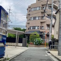 招く季節