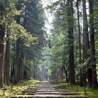 はじめての福井旅②