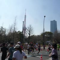2025東京マラソン大会　参加完走してきました。