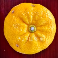 今日は冬至