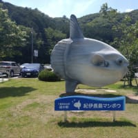 スマホからの投稿を再開します