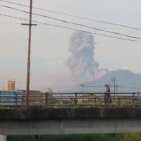 朝の散歩（2025/7/7）・・・姶良市加治木町宇曽ノ木川上流方面