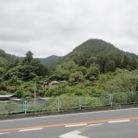 奥武蔵・ツツジ山　1