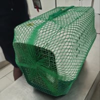 ソラ飛ぶワンコ