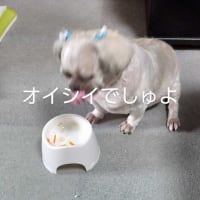桃君７月トリミング