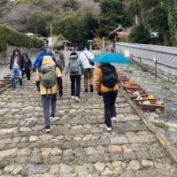 ちょこごろウォーキング　