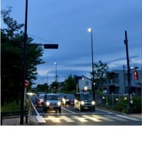 今日いち-2025年5月11日