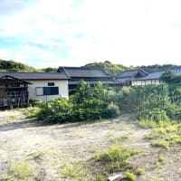 7月27日（日）②