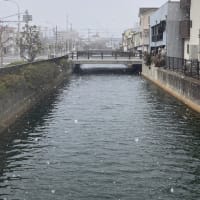 昨日の続きですが、今日が寒波本番でした。