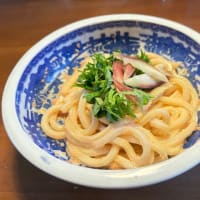 めんたいこうどん　＆　夏越の大祓