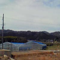 ノータイトル