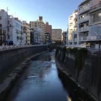 『神田川』に思う