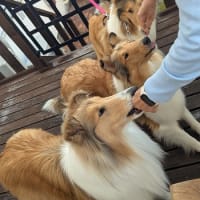 ちちあんさん家訪問　２