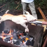 豚の丸焼きキャンプ