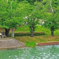 新緑の山上湖風情　 その　3
