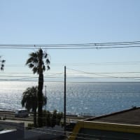 真夏のような津久井浜・・・。