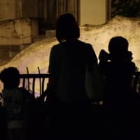 夜の動物園