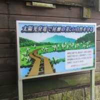 5/30　尾瀬紀行（6）　尾瀬小屋～東電小屋