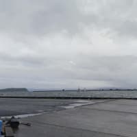 鯵釣り