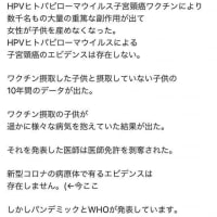 枠珍について