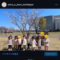 お知らせ📢😊