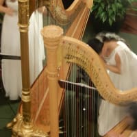 信州長期滞在の旅　第五日目　ハープの生演奏　2019.10.18　「26」　cafe  de  harp  白馬樅ノ木