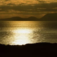 三宅島　その２