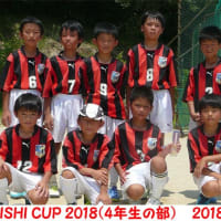 TAISHI CUP 2018