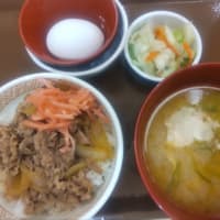 すき家 259号田原店＠田原