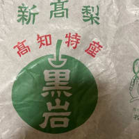 新高梨(にいたかなし)
