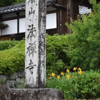 朝から 梅雨の様な小雨が降り続く