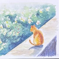今日のお絵描き